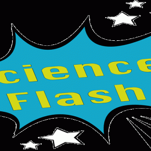 Logo Science Flash_klein