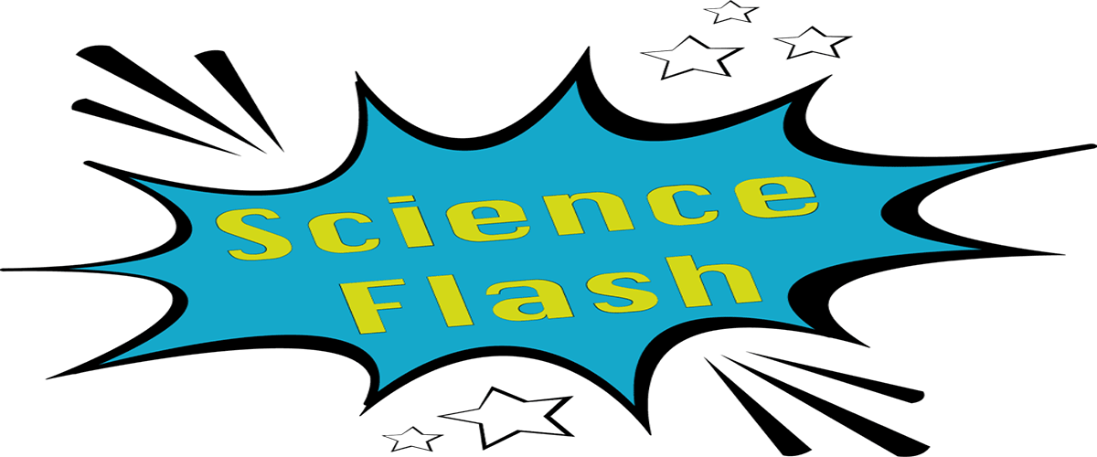 Logo Science Flash_klein
